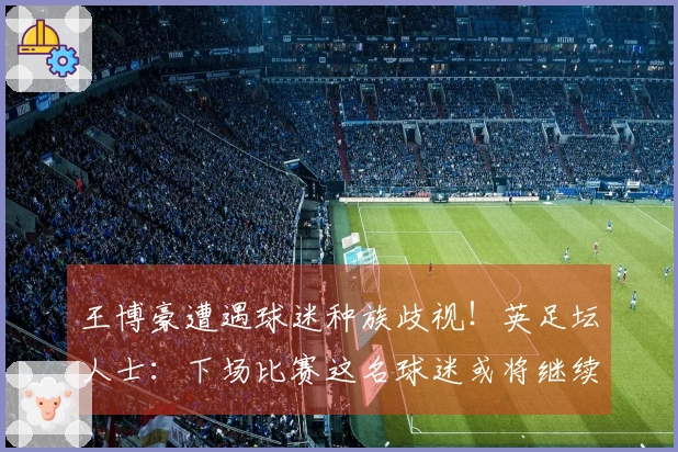 王博豪遭遇球迷种族歧视！英足坛人士：下场比赛这名球迷或将继续出现，令人作呕