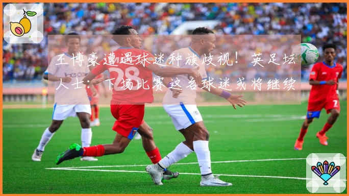 王博豪遭遇球迷种族歧视！英足坛人士：下场比赛这名球迷或将继续出现，令人作呕